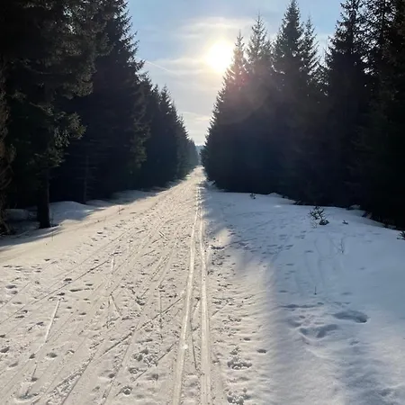Klinovec Loučná pod Klínovcem